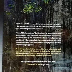 This World So Fierce: a novel | Mary Bourque Marcotte - Image 2