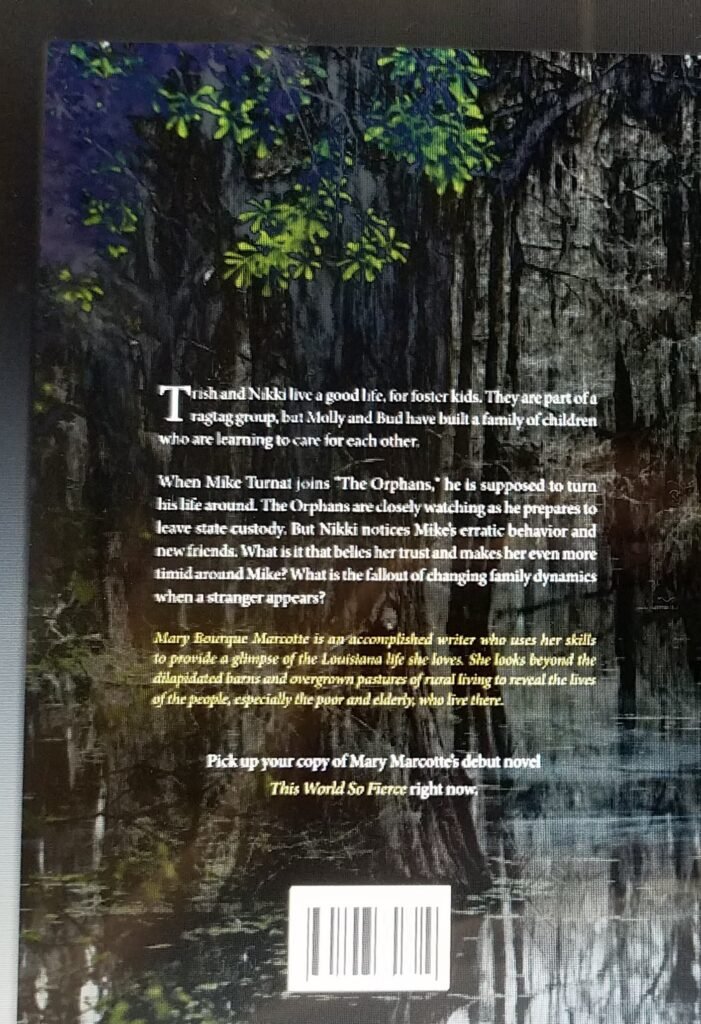 This World So Fierce: a novel | Mary Bourque Marcotte